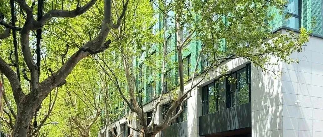 久事游览 &bull; 越界平武Space | 微更新，大扭转