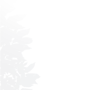 7381531be75f7e48 7381531be75f7e48