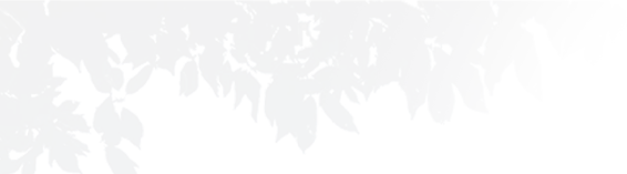 e1b49d8329dd8477 e1b49d8329dd8477