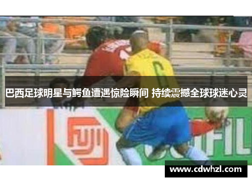 巴西足球明星与鳄鱼遭遇惊险瞬间 持续震撼全球球迷心灵
