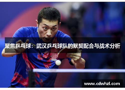 聚焦乒乓球：武汉乒乓球队的默契配合与战术分析