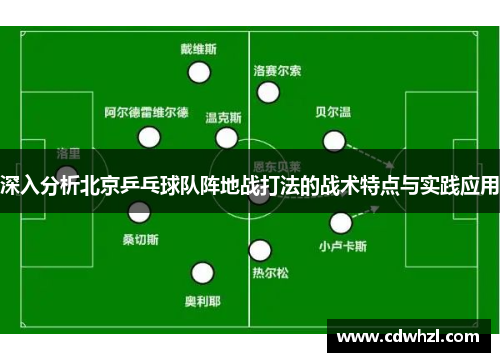 深入分析北京乒乓球队阵地战打法的战术特点与实践应用