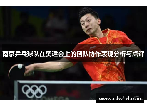 南京乒乓球队在奥运会上的团队协作表现分析与点评