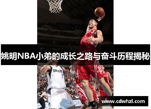 姚明NBA小弟的成长之路与奋斗历程揭秘