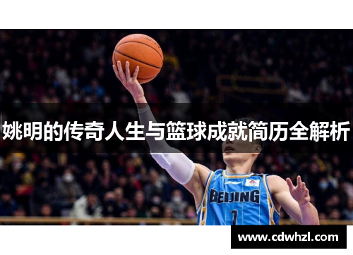 姚明的传奇人生与篮球成就简历全解析