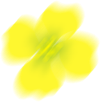 0a1d8c1f1d058dba 0a1d8c1f1d058dba