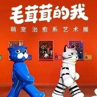 福豆钱包官网越界衡山路8号| 一场让人直呼&ldquo;太可爱&rdquo;的沉浸式萌宠大展，藏着不能抗拒的治愈理由